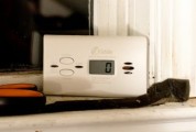 Carbon Monoxide Likely the Killer of Woman and Dog